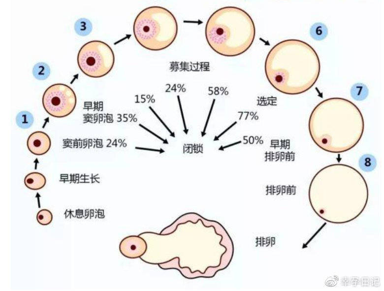 孕妇家用电器辐射排行