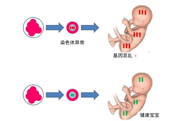 孩子受到欺负