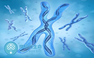 孕妇夫妻合照